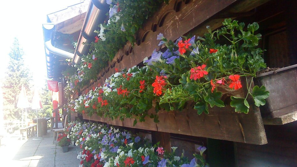 Hiking route Hike to the Bürgeralpe via the Stehralm - Touren-Impression #2.7 | © TV Hochsteiermark