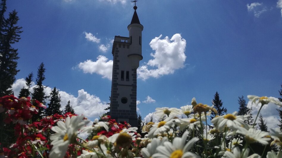 Hiking route Hike to the Bürgeralpe via the Stehralm - Touren-Impression #2.10 | © TV Hochsteiermark