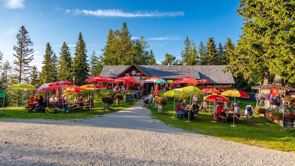 Hiking route Hike to the Bürgeralpe via the Stehralm - Touren-Impression #2.12 | © TV Hochsteiermark