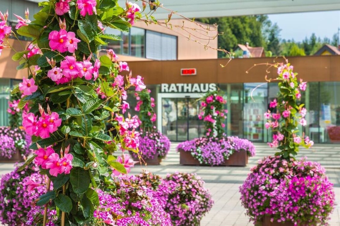 Radfahren Lannach-Tour - Touren-Impression #1 | © TVB Südsteiermark/Marktgemeinde Lannach