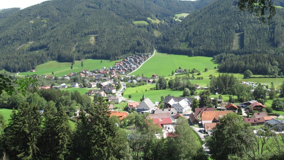 Mountainbike Große Hiaslegg - Runde - Touren-Impression #2.3 | © Tourismusverband ERZBERG LEOBEN