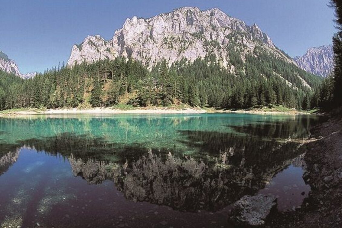 Mountainbike Große Hiaslegg - Runde - Touren-Impression #1 | © TRV Hochsteiermark