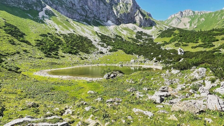Mountainbike Hirnalm Runde - Touren-Impression #2.5 | © Tourismusverband ERZBERG LEOBEN