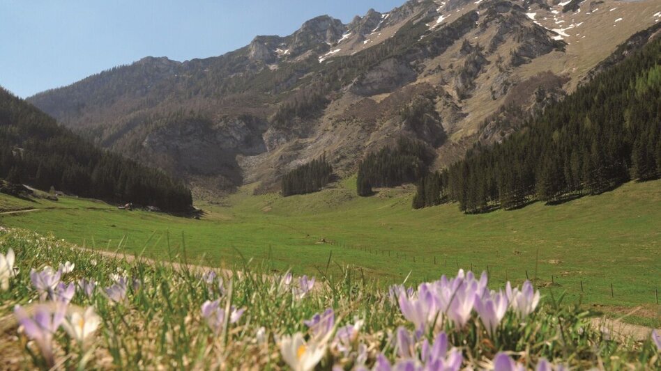 Mountainbike Hirnalm Runde - Touren-Impression #2.1 | © Kastner & Partner