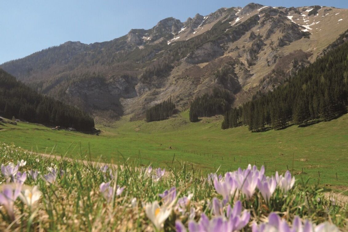 Mountainbike Hirnalm Runde - Touren-Impression #1 | © Kastner & Partner