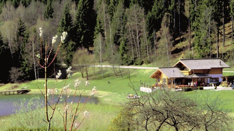 Mountainbike Hirnalm Runde - Touren-Impression #2.4 | © Kastner & Partner