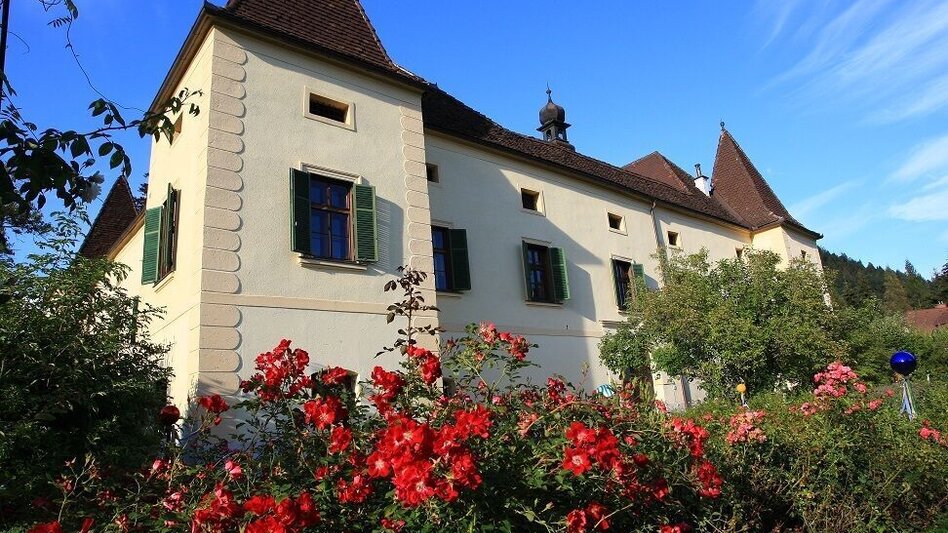 Mountainbike Tollinggraben - Niederung - Touren-Impression #2.6 | © Tourismusverband ERZBERG LEOBEN