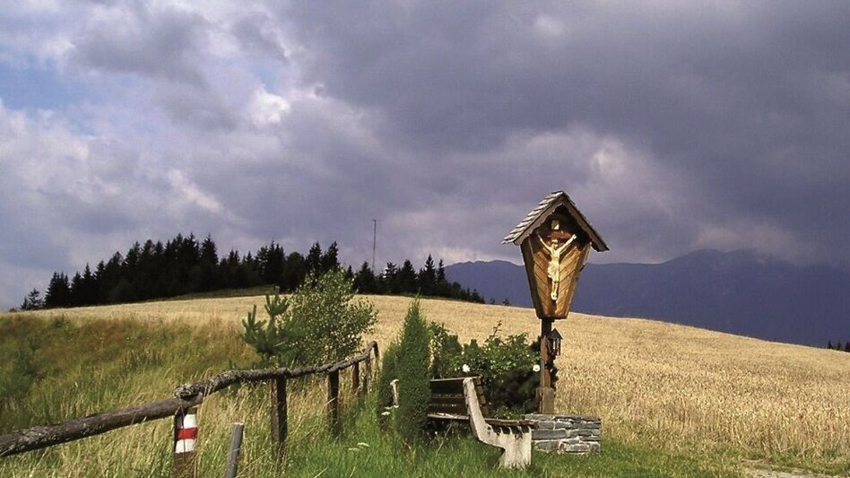 Mountainbike Tollinggraben - Niederung - Touren-Impression #2.1 | © Anton Hirschmann