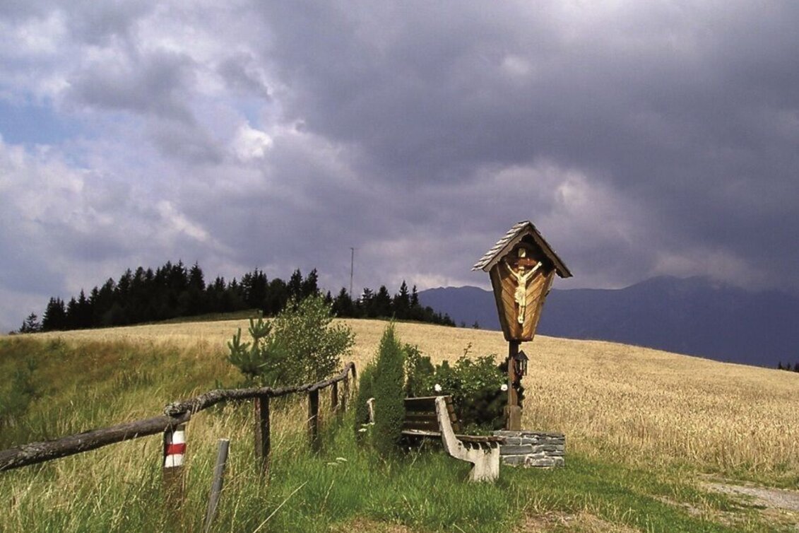 Mountainbike Tollinggraben - Niederung - Touren-Impression #1 | © Anton Hirschmann