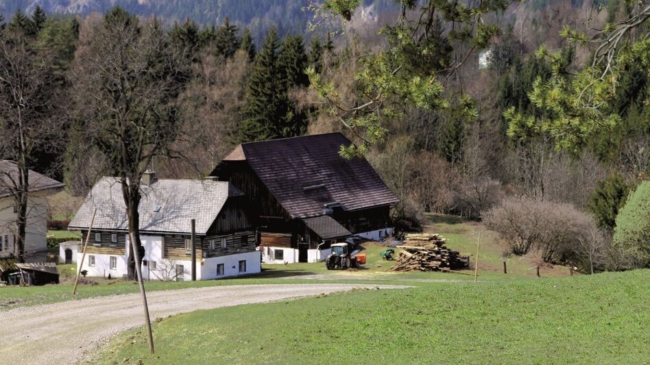 Mountainbike Tollinggraben - Niederung - Touren-Impression #2.2 | © Kastner & Partner