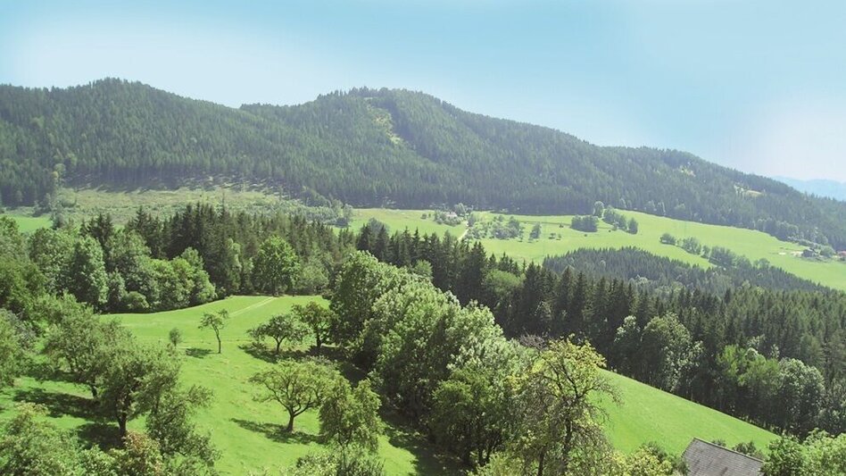 Mountainbike Tollinggraben - Niederung - Touren-Impression #2.3 | © Anton Hirschmann