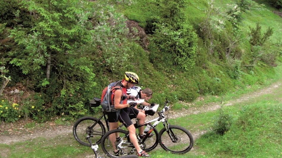 Mountainbike Tollinggraben - Niederung - Touren-Impression #2.4 | © Kastner & Partner