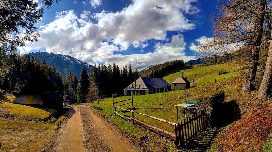 Mountainbike Hohe Rötz - Touren-Impression #2.6 | © Tourismusverband ERZBERG LEOBEN
