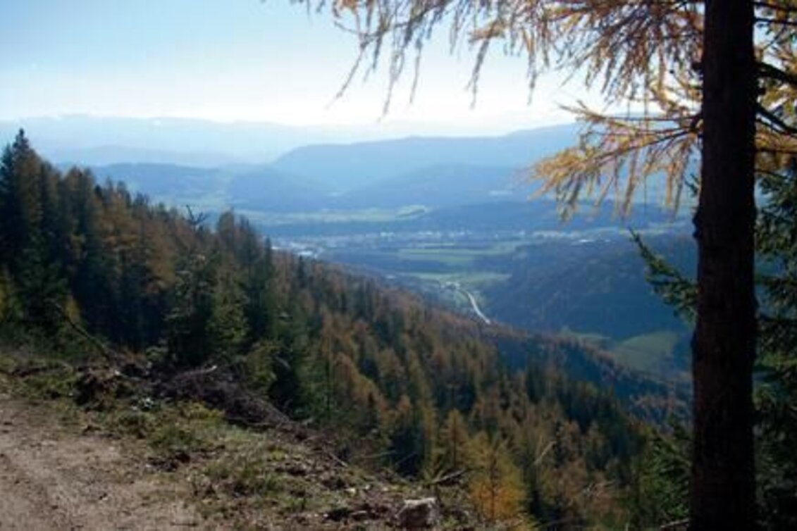 Mountainbike Hohe Rötz - Touren-Impression #1 | © TV Hochsteiermark