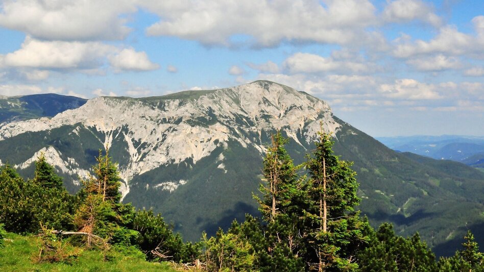 Hiking route Family hike to Schneealm in the Mürzer Oberland Nature Park - Touren-Impression #2.11 | © TV Hochsteiermark