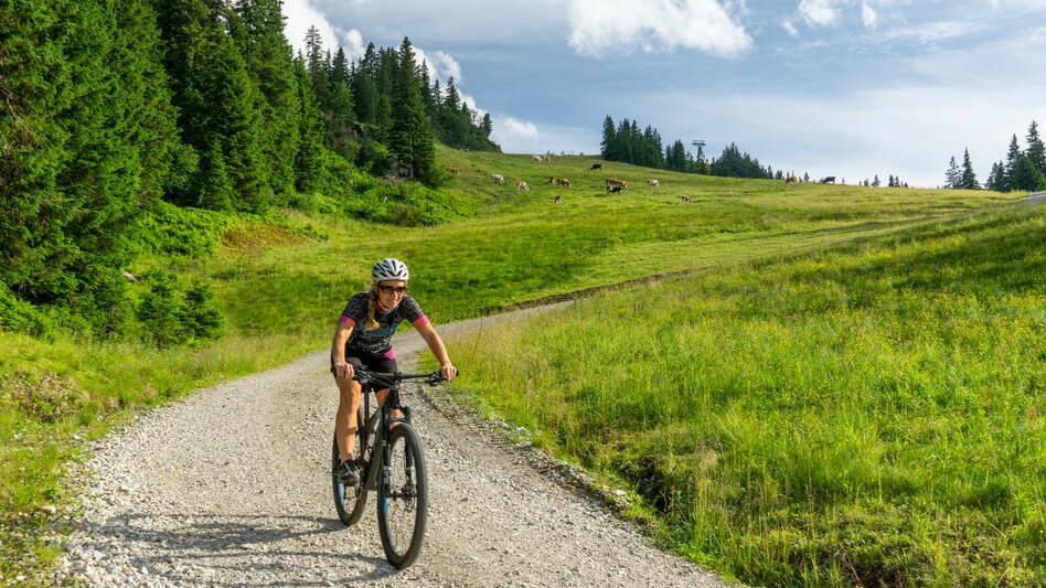 Mountainbike Mörsbach Runde (mit Lademöglichkeit) | 323 - Touren-Impression #2.9