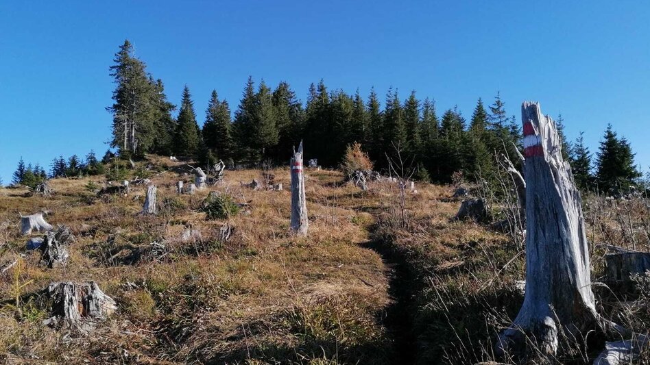 Hiking route Hohe Trett - Touren-Impression #2.2 | © Erlebnisregion Schladming-Dachstein