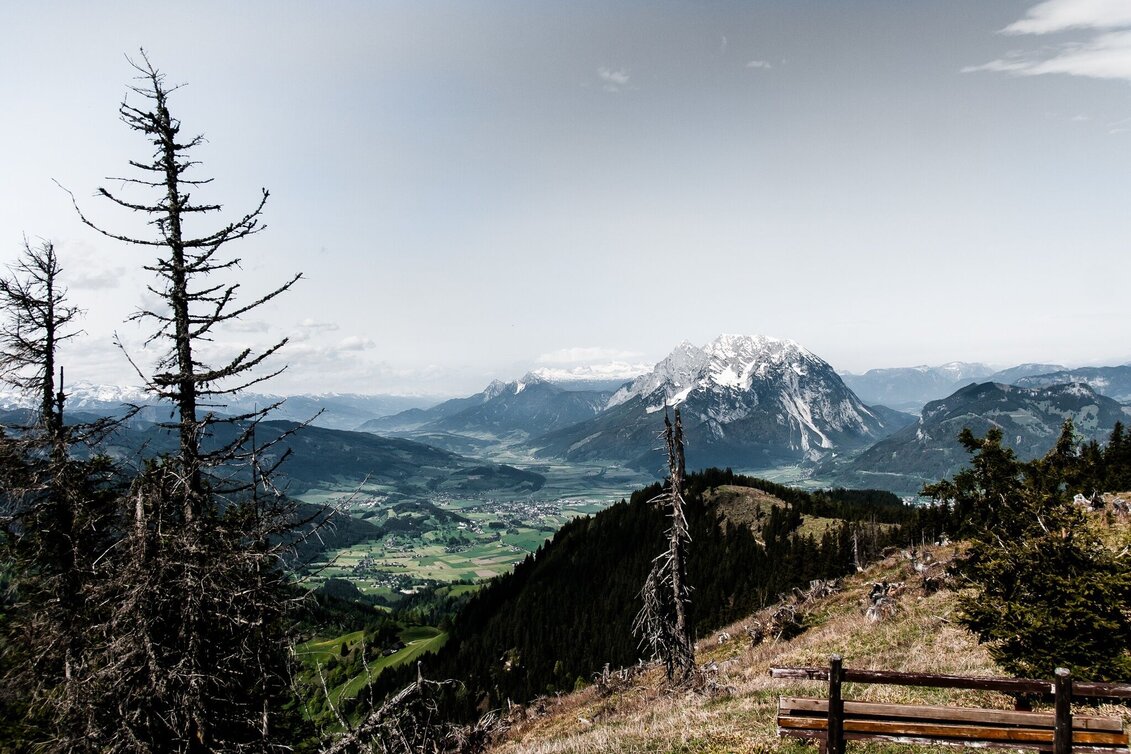 Hiking route Hohe Trett - Touren-Impression #1 | © Erlebnisregion Schladming-Dachstein