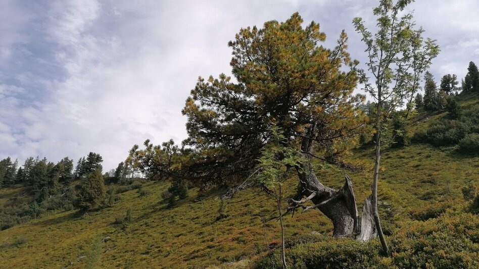 Wanderung 5 Gipfel Tour - Touren-Impression #2.3 | © Erlebnisregion Schladming-Dachstein