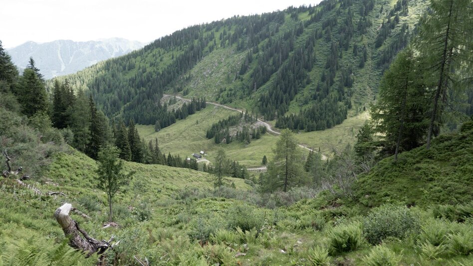 Hiking route Großes Bärneck - der Höchste im Mörsbachtal - Touren-Impression #2.1 | © Erlebnisregion Schladming-Dachstein