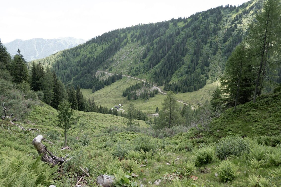 Hiking route Großes Bärneck - der Höchste im Mörsbachtal - Touren-Impression #1 | © Erlebnisregion Schladming-Dachstein