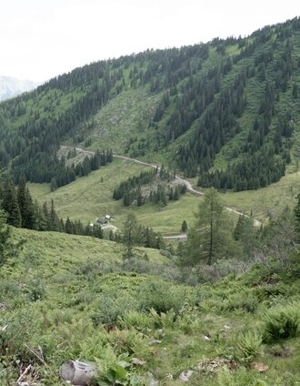 Auf halbem Weg von der Gstemmerscharte zur Hinteren Mörsbachalm | Roland Gutwenger | © Erlebnisregion Schladming-Dachstein