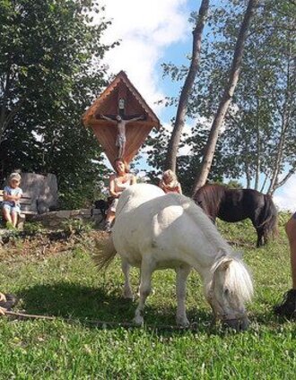 "Schlungerhörndl-Kreuz" | Jakob Wild | © Oststeiermark Tourismus