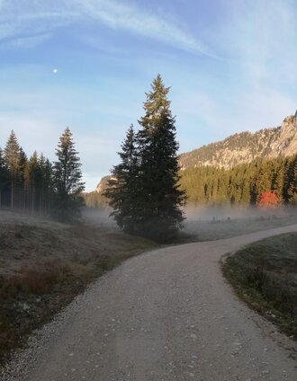 Herbstmorgen im Schönmoos | Roland Gutwenger | © Tourismusverband Grimming-Donnersbachtal