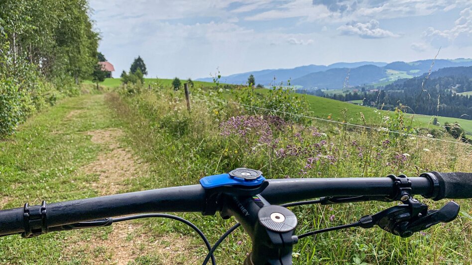 Mountain Biking Remschniggalm - wine, alpine pasture and more. - Touren-Impression #2.3 | © Südsteiermark