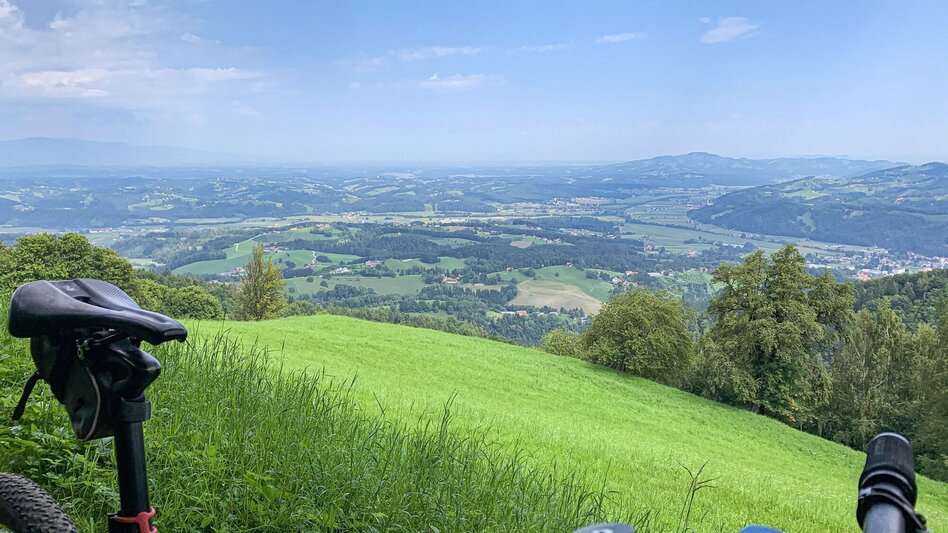 Mountain Biking Remschniggalm - wine, alpine pasture and more. - Touren-Impression #2.5 | © Südsteiermark