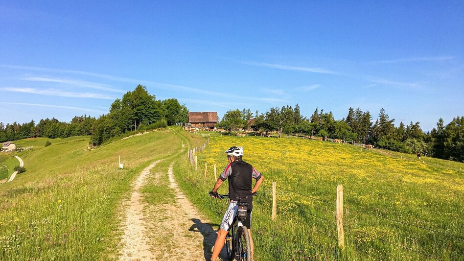 Mountain Biking Remschniggalm - wine, alpine pasture and more. - Touren-Impression #2.1 | © Südsteiermark