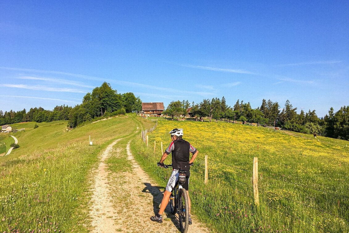 Mountain Biking Remschniggalm - wine, alpine pasture and more. - Touren-Impression #1 | © Südsteiermark