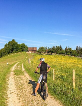 remschniggalm - wein, alm und mehr._img_53249558 | Bernhard Prangl | © Südsteiermark