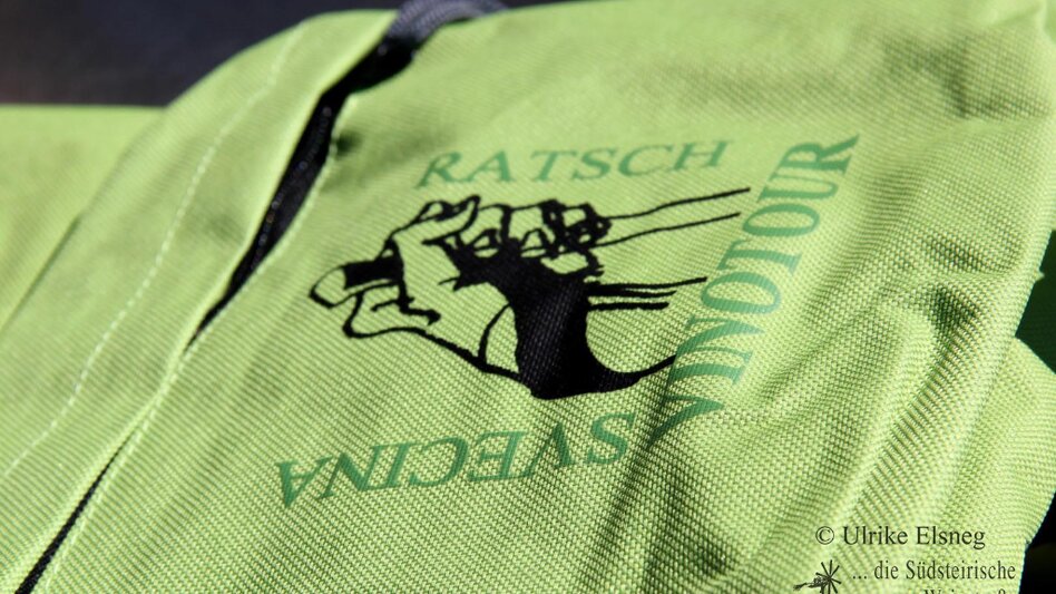 Nordic Walking Nordic Walking Vinotour - Grüne Strecke - Touren-Impression #2.1 | © Südsteiermark