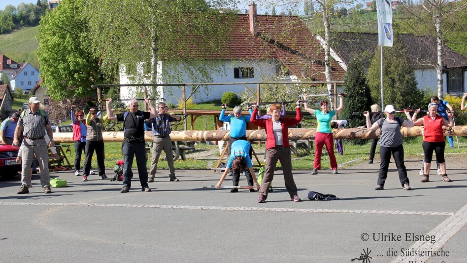 Nordic Walking Nordic Walking Vinotour - Grüne Strecke - Touren-Impression #2.2 | © Südsteiermark