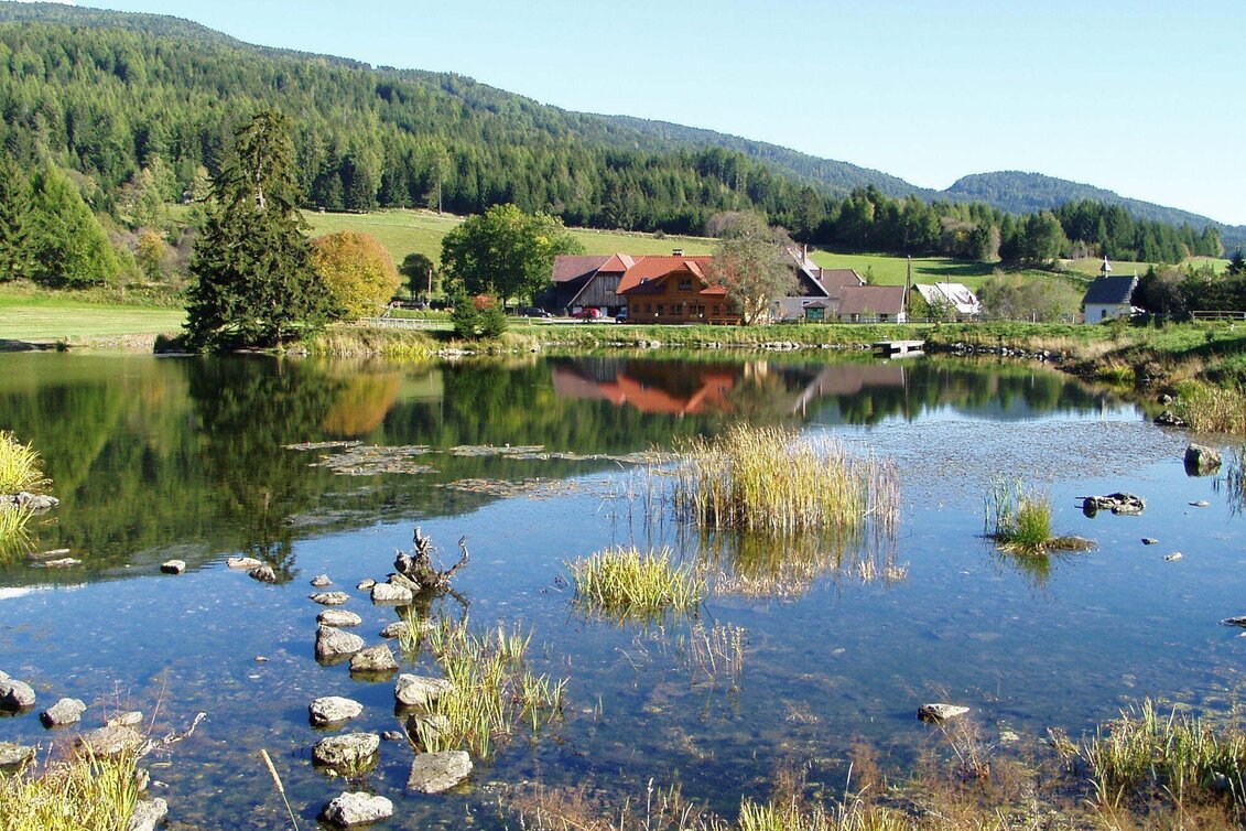 Wanderung Von Neumarkt über Ort See nach Mühlen - Touren-Impression #1 | © Tourismusverband Murau