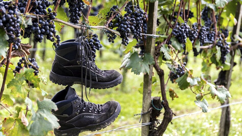 Hiking route Path of lifestyle (Lebensartweg) - Touren-Impression #2.1 | © Thermen- & Vulkanland