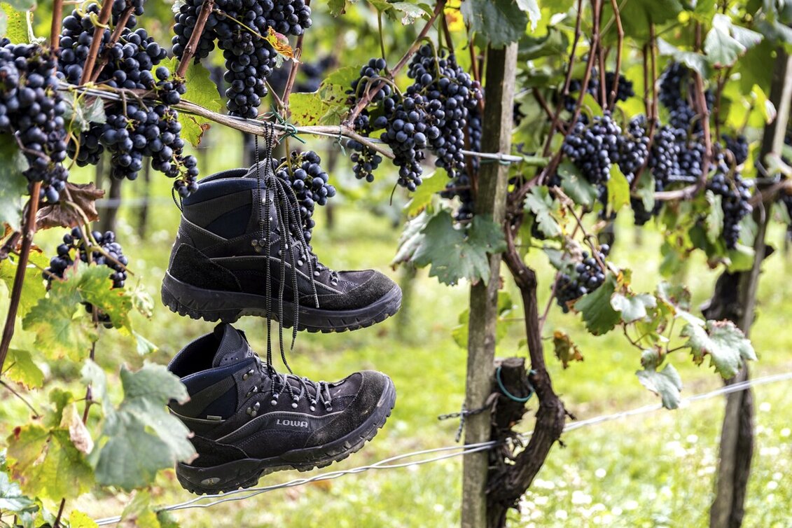 Hiking route Path of lifestyle (Lebensartweg) - Touren-Impression #1 | © Thermen- & Vulkanland