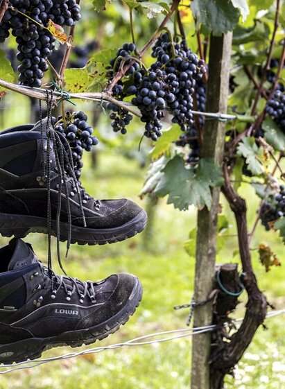 Wandern im Thermen- & Vulkanland | © Thermen- & Vulkanland | Peter Siegel | © Thermen- & Vulkanland