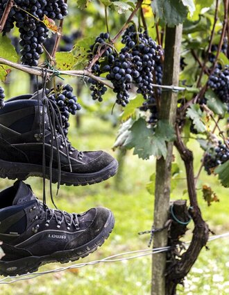 Peter Siegel | © Thermen- & Vulkanland