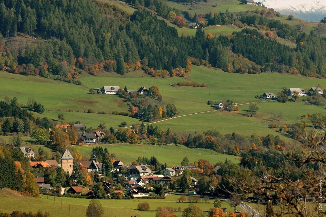 Wanderung Feistritzer Aussichtswanderung auf den Wachenberg - Touren-Impression #1 | © Tourismusverband Murau