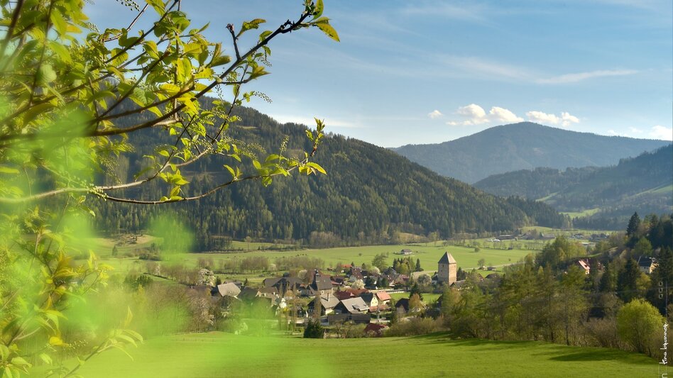 Wanderung Schattseitenwanderung nach Feistritz - Touren-Impression #2.1 | © Tourismusverband Murau