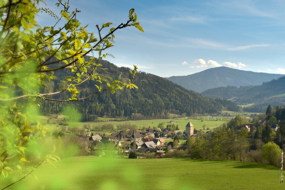 Wanderung Schattseitenwanderung nach Feistritz - Touren-Impression #1 | © Tourismusverband Murau