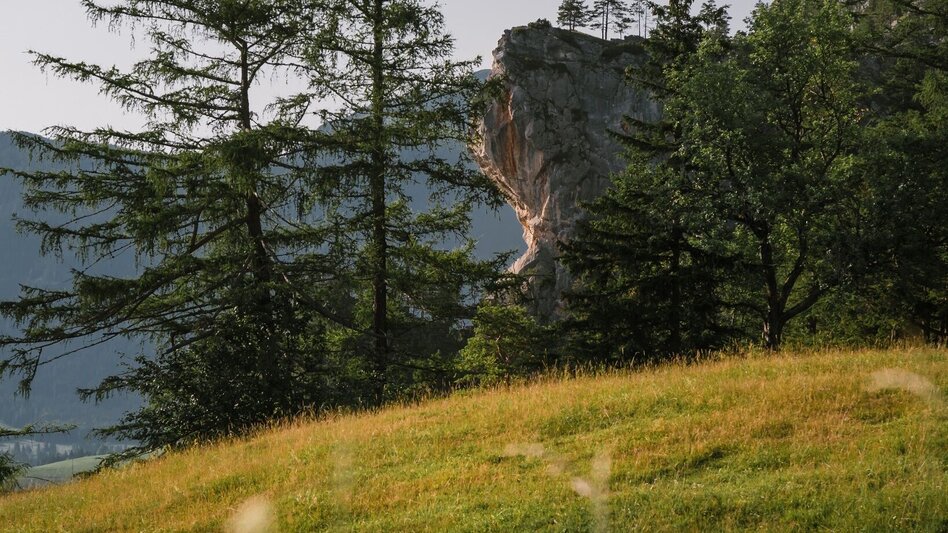 Wanderung Großes Gindlhorn und Leistenalm - Touren-Impression #2.1 | © Erlebnisregion Schladming-Dachstein