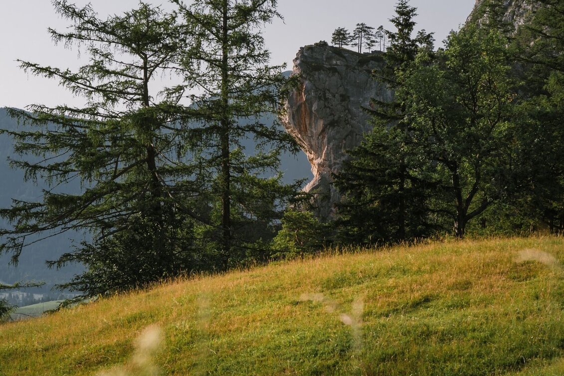 Wanderung Großes Gindlhorn und Leistenalm - Touren-Impression #1 | © Erlebnisregion Schladming-Dachstein