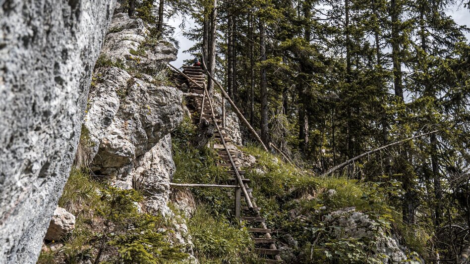 Wanderung Großes Gindlhorn und Leistenalm - Touren-Impression #2.4 | © Erlebnisregion Schladming-Dachstein