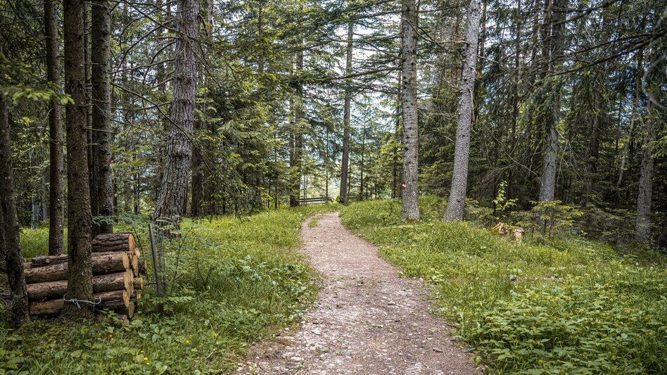 Wanderung Großes Gindlhorn und Leistenalm - Touren-Impression #2.9 | © Erlebnisregion Schladming-Dachstein