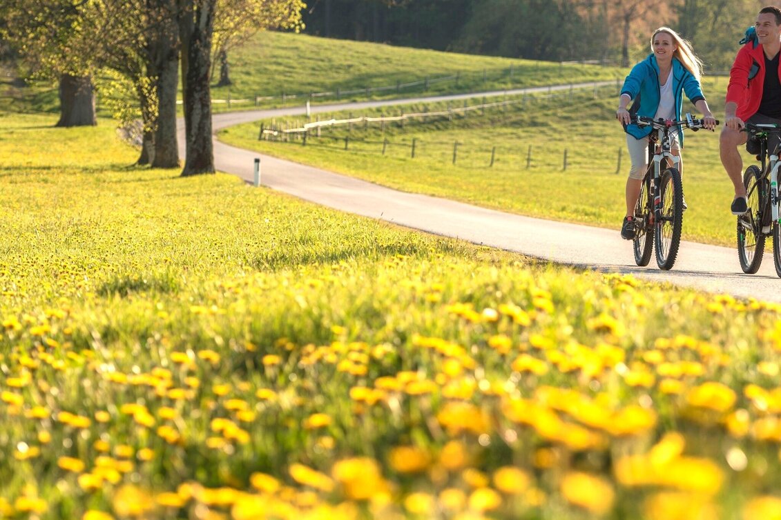 Bike Riding Weizer Almenland-Bike Tour, Variant 1:  Weiz - Naas - St. Kathrein - Touren-Impression #1 | © Oststeiermark Tourismus