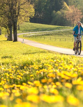 Weizer Almenland Bike Tour, Eastern Styria | Bernhard Bergmann  | © Oststeiermark Tourismus