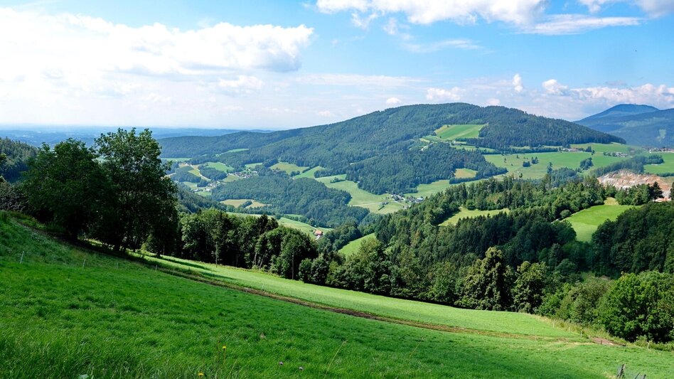 Bike Riding Weizer Almenland-Bike Tour, Variant 1:  Weiz - Naas - St. Kathrein - Touren-Impression #2.2 | © Oststeiermark Tourismus